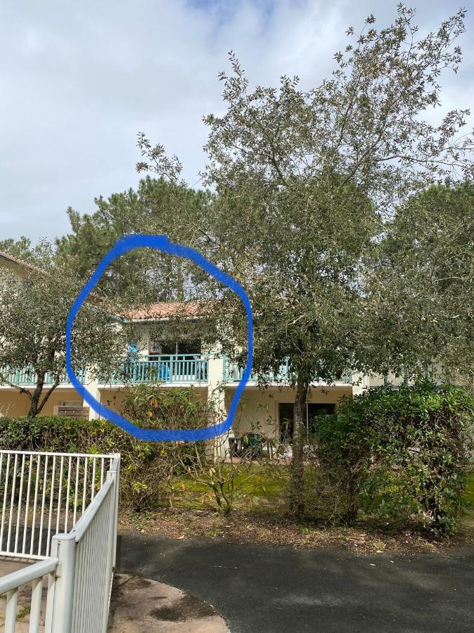 Appartement 3 Pieces, 6 Perso Avec Piscine Chauffee En Saison Domaine Du Golf De Pinsolle Soustons Buitenkant foto